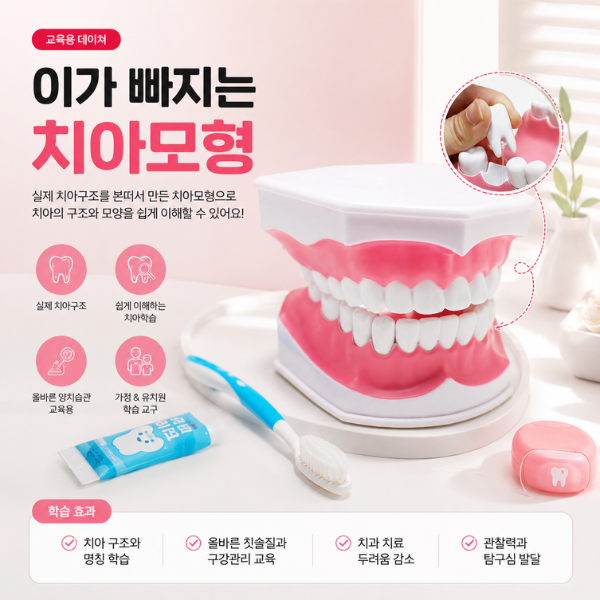[캐스비] 네이처 이가빠지는 치아모형