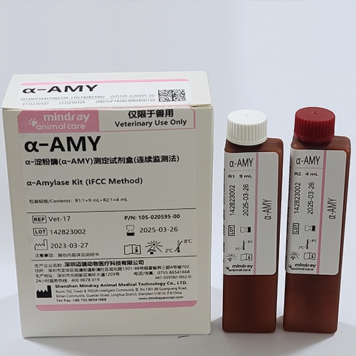 AMY