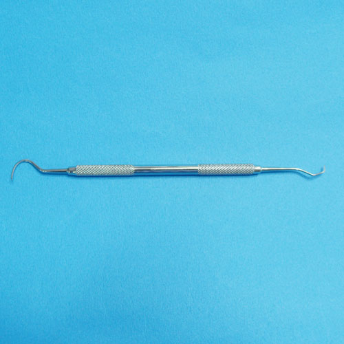 Scaler(치석제거기)