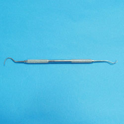 Scaler(치석제거기)