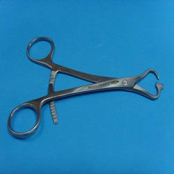 Holding forceps for mini plate and bone