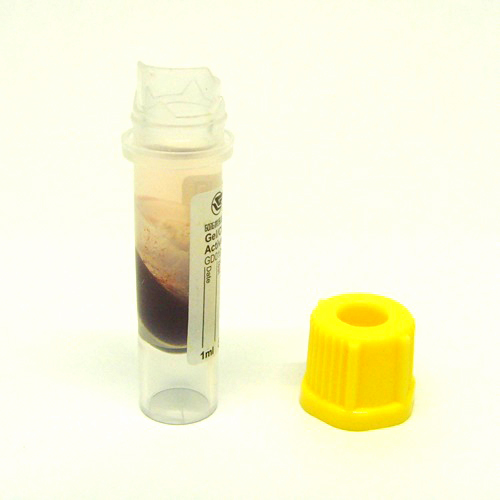 혈청분리용 미니튜브(1cc용)