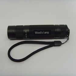 우드램프