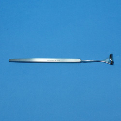 EYE SPECLA(DESMARRES)