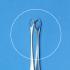 INTESTINAL FORCEPS(DENNIS-BROWN)