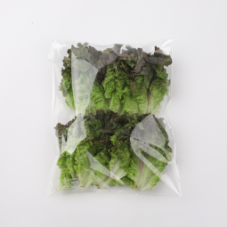 <숨쉬는 필름>팩15호 풀 (400매) 상추용