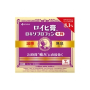 로이히 동전파스 록소프로펜 대형 7장