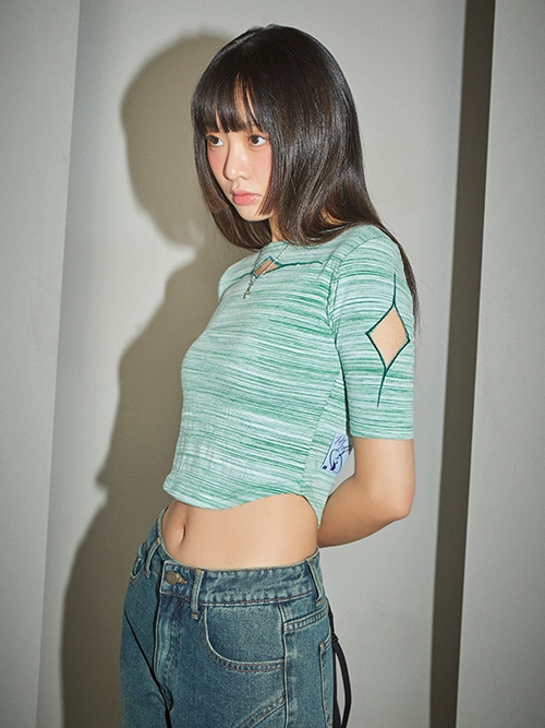 Stripe Glitter Slit Crop T-shirt (Green)