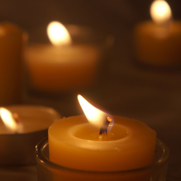 티라이트 꿀초 Tealight Candle