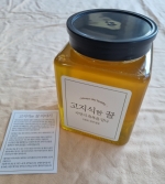 고지식한 꿀(650g)