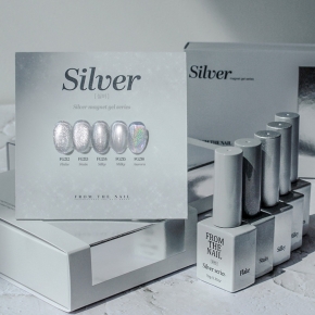 [프롬더네일] Silver Magnet Gel series 실버 자석젤 5종 set