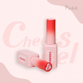 포칫 치크아트 레드빛 시럽젤 칙스젤