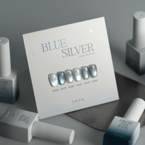 [프롬더네일] BlueSilver : Magnet Gel Series 블루실버 : 마그넷 젤 시리즈 6종 세트