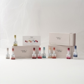 [레브] 컬러보드 OLOR BOARD 시럽젤 10종 SET