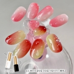 [메이유어] 레이니젤