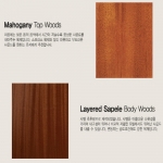 테일러 GS 미니 E 마호가니 GS Mini-e Mahogany 픽업장착