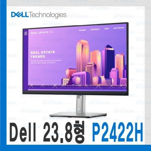 Dell 24인치 모니터 P2422H