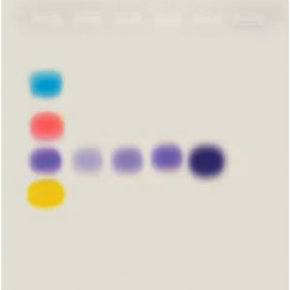 PCR의 효과 학습(기본)