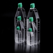 [SPL] Cell Culture Flask