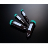 [SPL] 15mL Amber Conical Tube, 갈색 코니칼 튜브