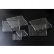 [SPL] Square Dish, 스퀘어디쉬(사각디쉬)