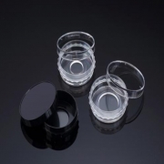 [SPL] Coverglass Bottom Dish,, 현미경 관찰용 커버글라스 디쉬