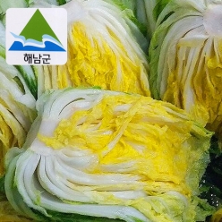 해남절임배추 20kg