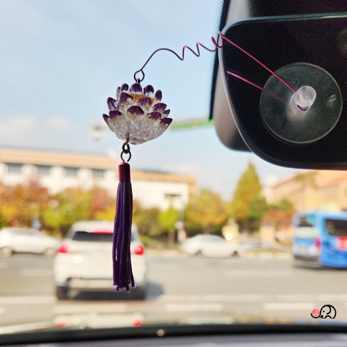 (한정상품) 큐방 퍼플연꽃 장식