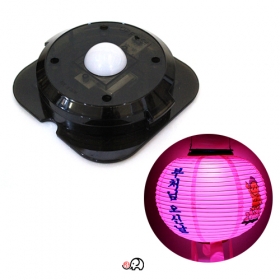 만월등용 태양광전구(솔라전구)DY