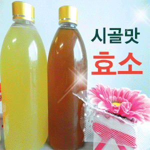개똥쑥효소