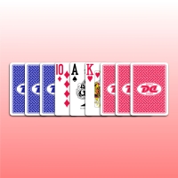 DD카드 맥스 1박스(10개)