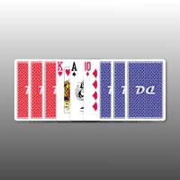DD카드 점보 1개