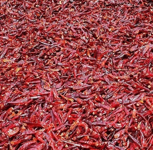 2025 땅끝애골 햇고춧가루 (한정수량)