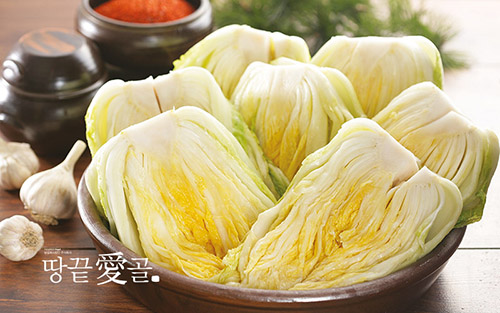 [HACCP 인증] 땅끝애골 절임배추 20kg