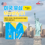 미국유심 Monthly01 / 30일 10GB+핫스팟 5GB 통화 문자 무제한 H2O통신사