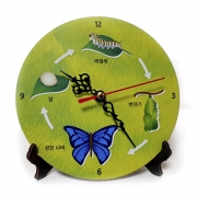 동물의 한살이 시계 2종