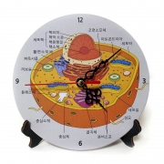 동식물세포 시계 2종