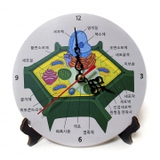 동식물세포 시계 2종
