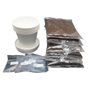 친환경 식물 키우기 6종 set
