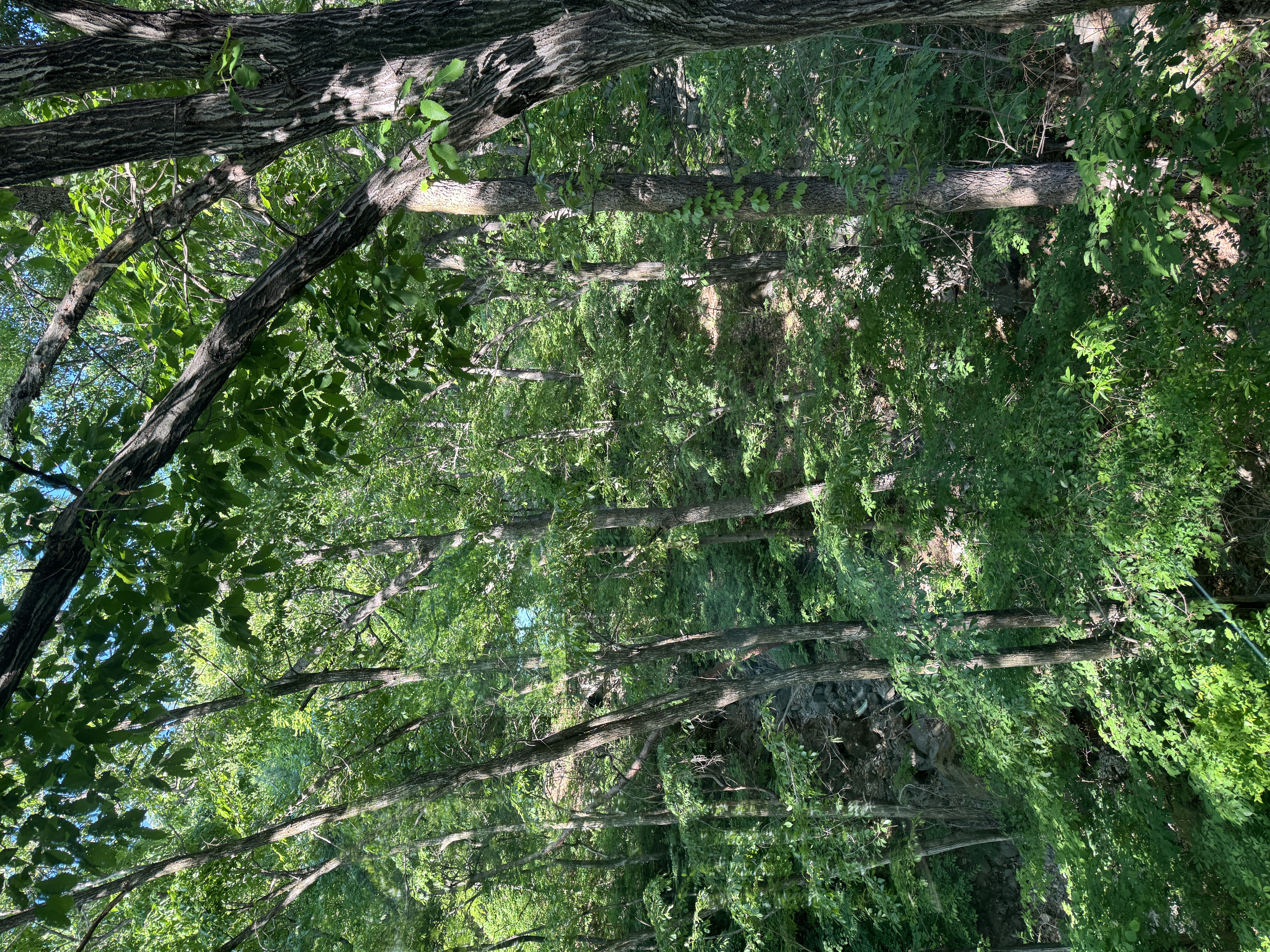 IMG_0054.jpeg