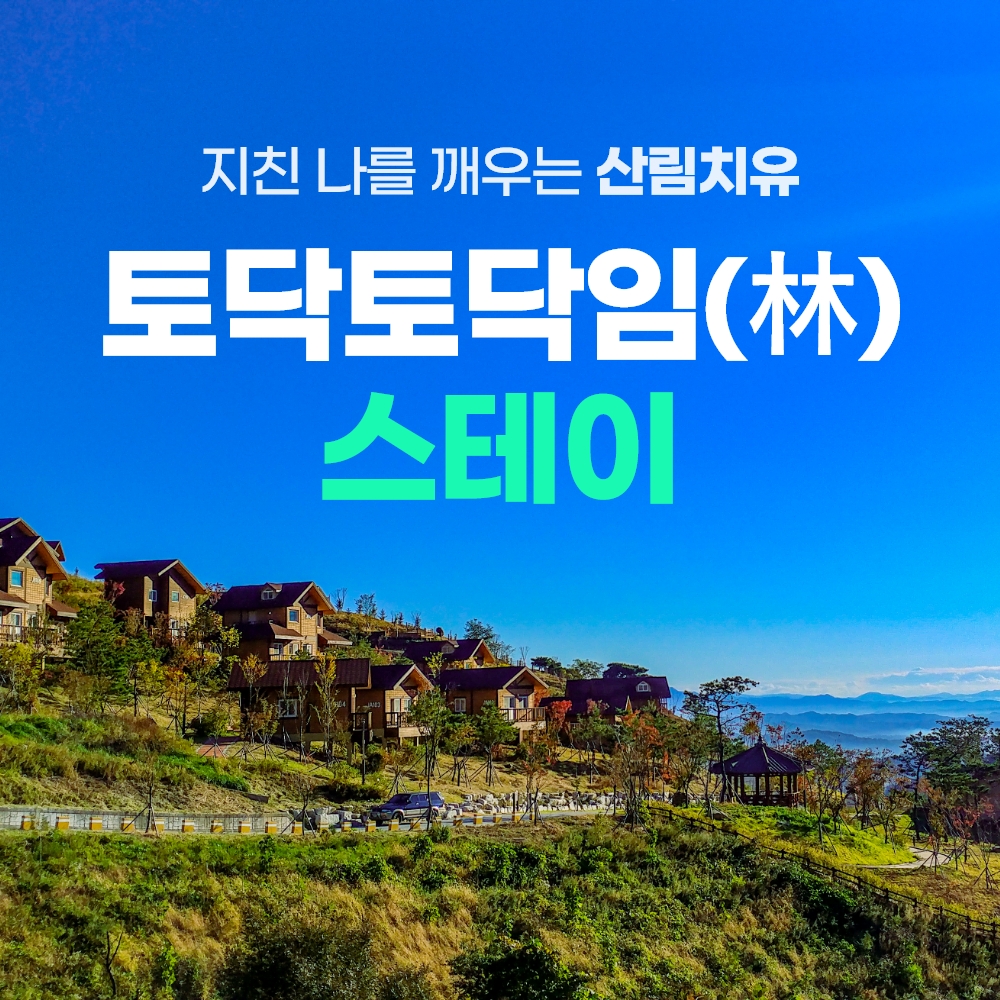 경북e누리 영주 국립산림치유원+소수서원