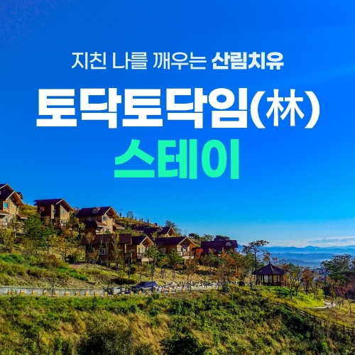 경북e누리 영주 국립산림치유원+소수서원