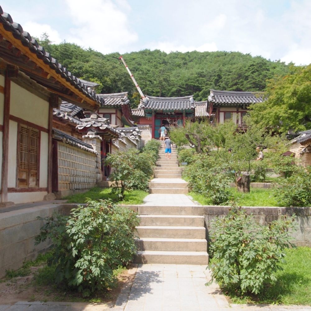 경북e누리 안동 라피네글램핑+아차가+도산서원