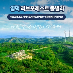 경북e누리 영덕 리브포레스트 풀빌라+리브포레스트 카페+트릭아트전시관+신재생에너지전시관