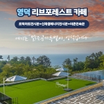 경북e누리 영덕 리브포레스트 카페+트릭아트전시관+신재생에너지전시관+어촌민속관