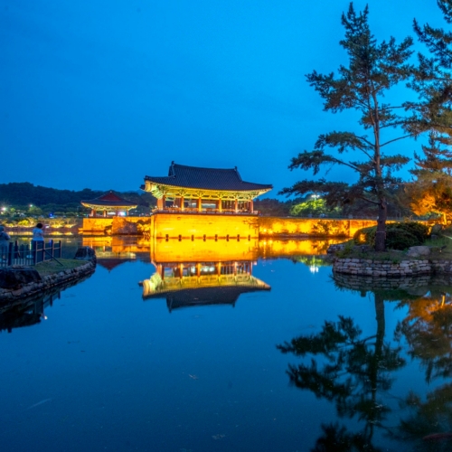 경북e누리 경주(정글의법칙+동궁과월지)
