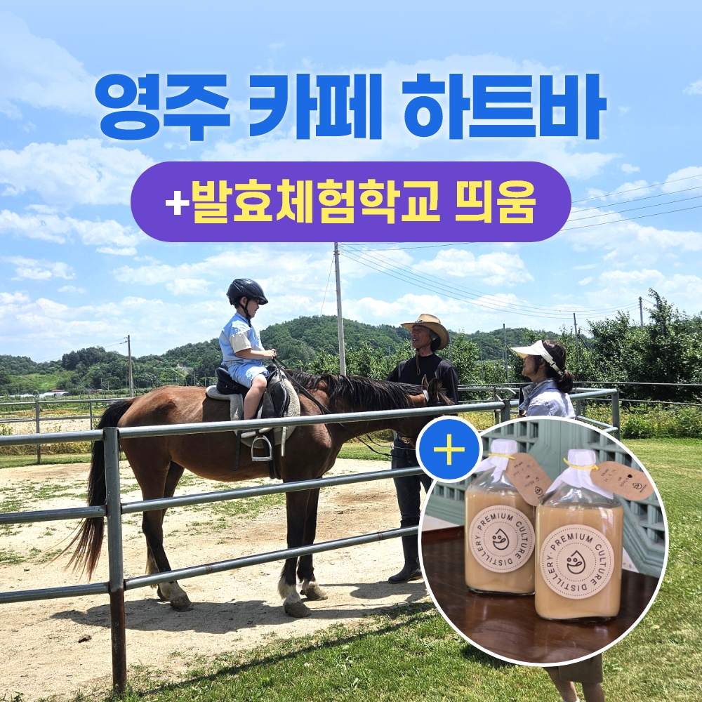 경북e누리 영주 하트바+발효체험학교 띄움 경북e누리 영주 하트바+발효체험학교 띄움