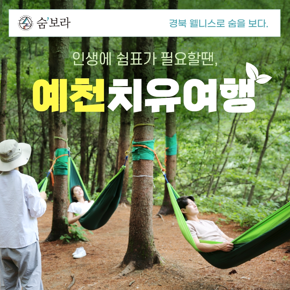 경북 웰니스여행 예천 국립산림치유원+곤충체험관+목재문화체험장