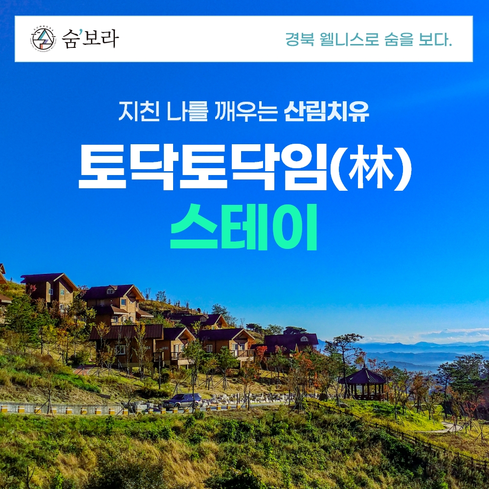경북 웰니스여행 영주 국립산림치유원+소수서원