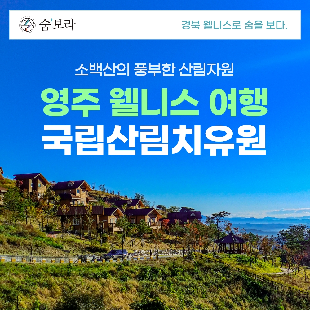 경북웰니스여행 영주 국립산림치유원(주치)